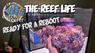 THE REEF LIFE is about to REBOOT