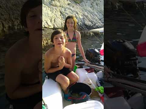 Voilà nos poison 🐟🐟