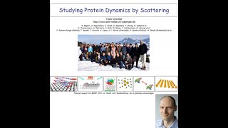 Studying protein dynamics by scattering , with Frank Schreiber