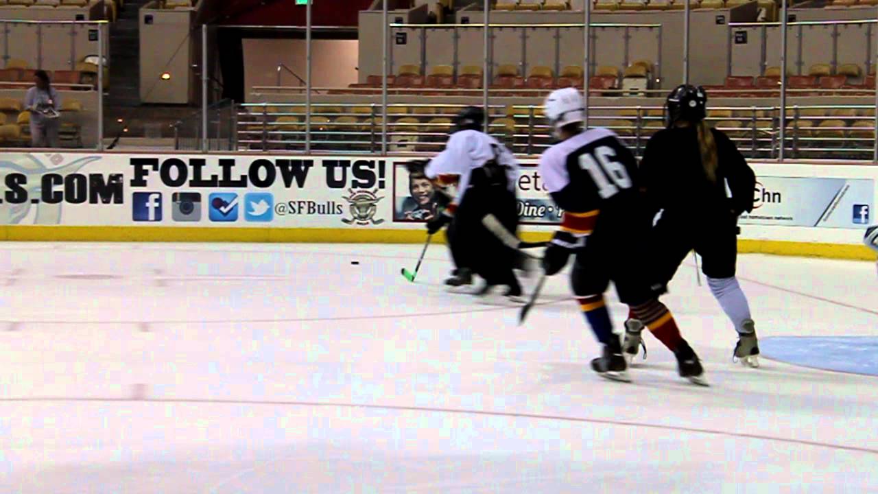 Theodore at the Cow Palace #2