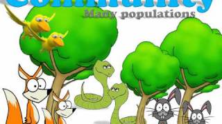 Ecology Introduction(Population, community and ecosystem., 2011-04-05T01:09:28.000Z)