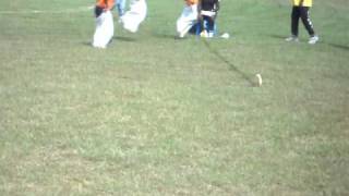 holy innocent school sport