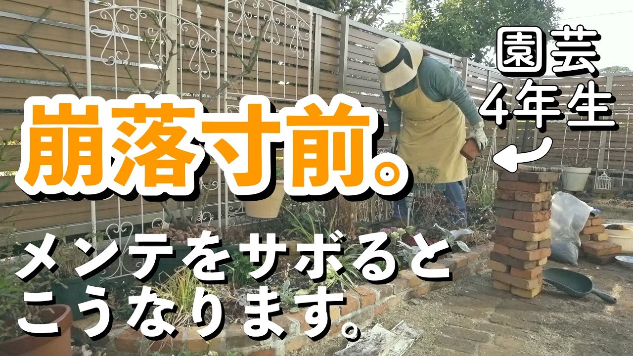 【大反省】ガーデニング1年目でDIYした構造物が、崩落寸前でした｜土壌改良｜うどんこ病対策｜小さな庭のガーデニング