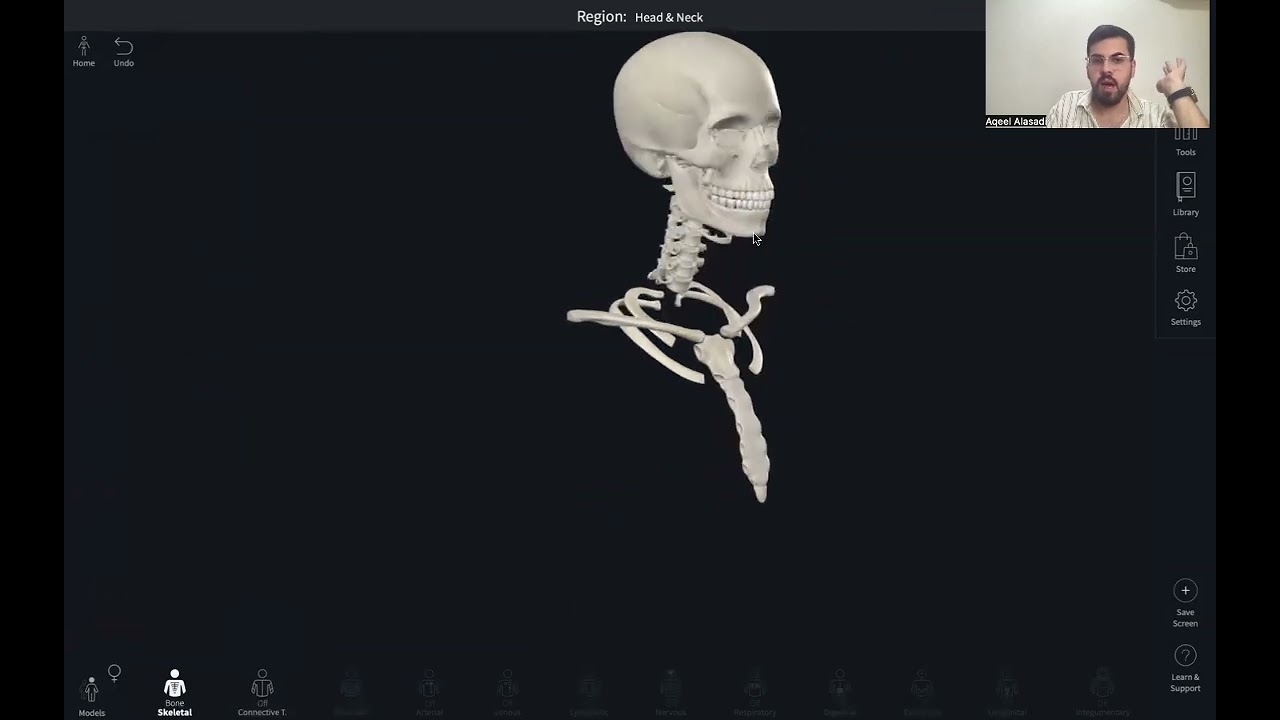 طب الانبار | cervical vertebra anatomy