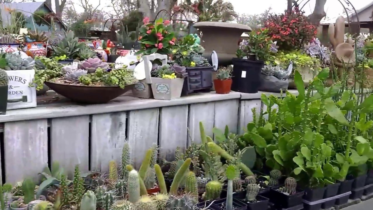 Enchanted Forest Nursery Walking Tour YouTube