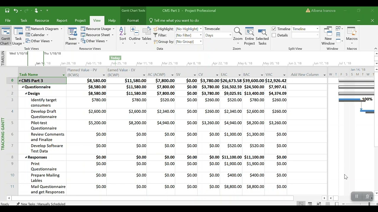 MS Project - Earned Value Reports