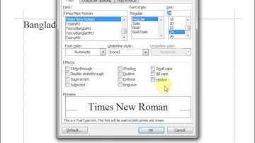 Microsoft word View Menu-Office 2003