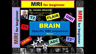 Brain MRI Sequences specific  (Level 3)
