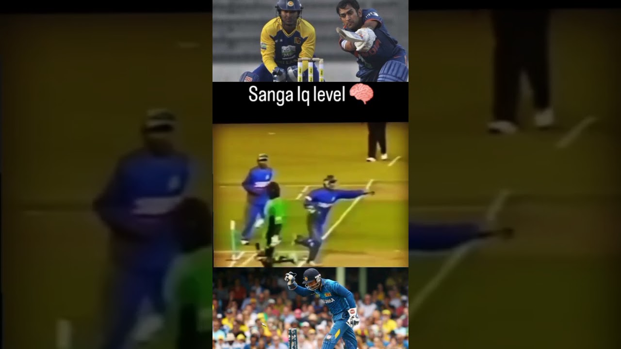 sanga iq level 