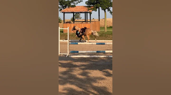 We are both fine🙏🏻 just a little scared😢 #gilaryeq  #horseriding  #horse #fyp #fail #horse #fypシ