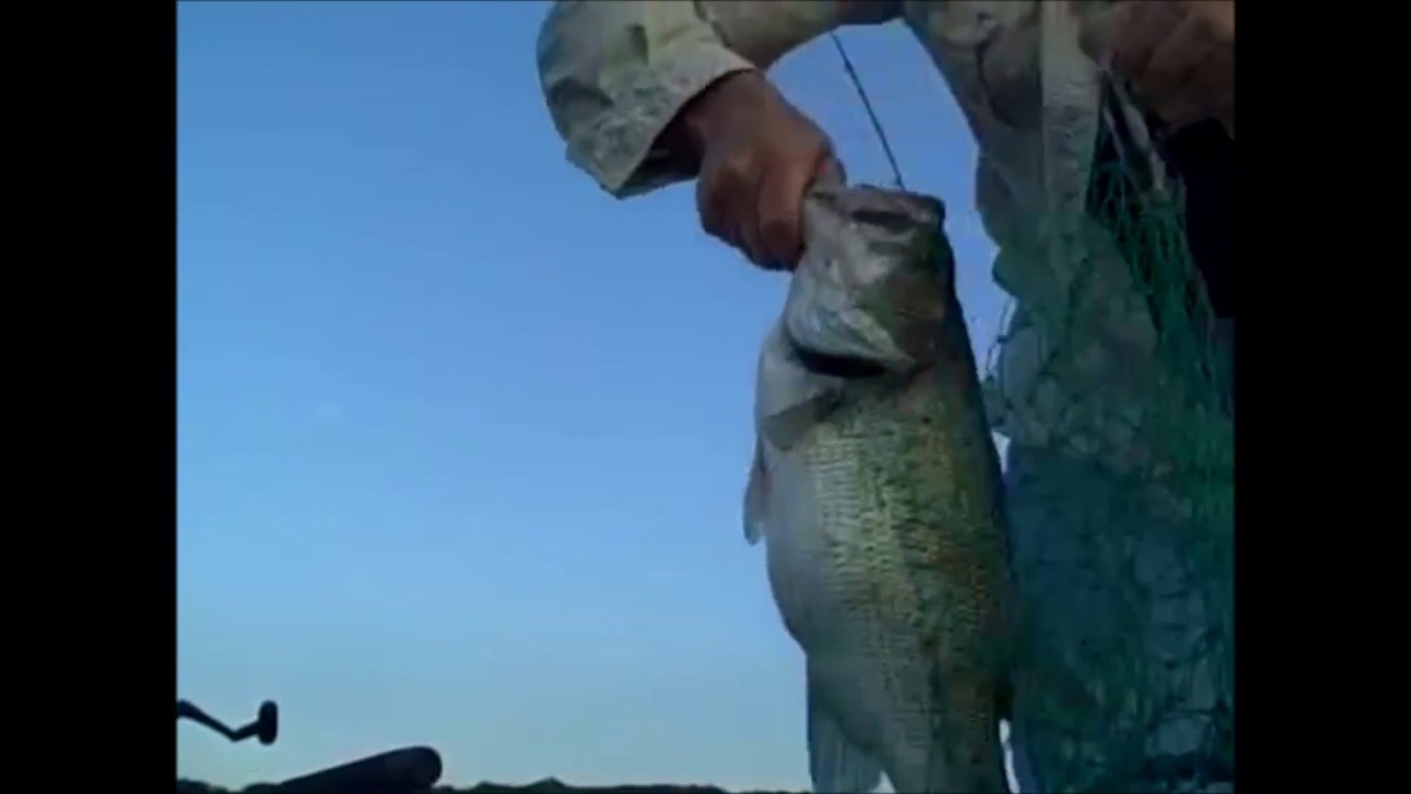 3 Giant largemouth Bass while Fishing Budd Lake NJ YouTube
