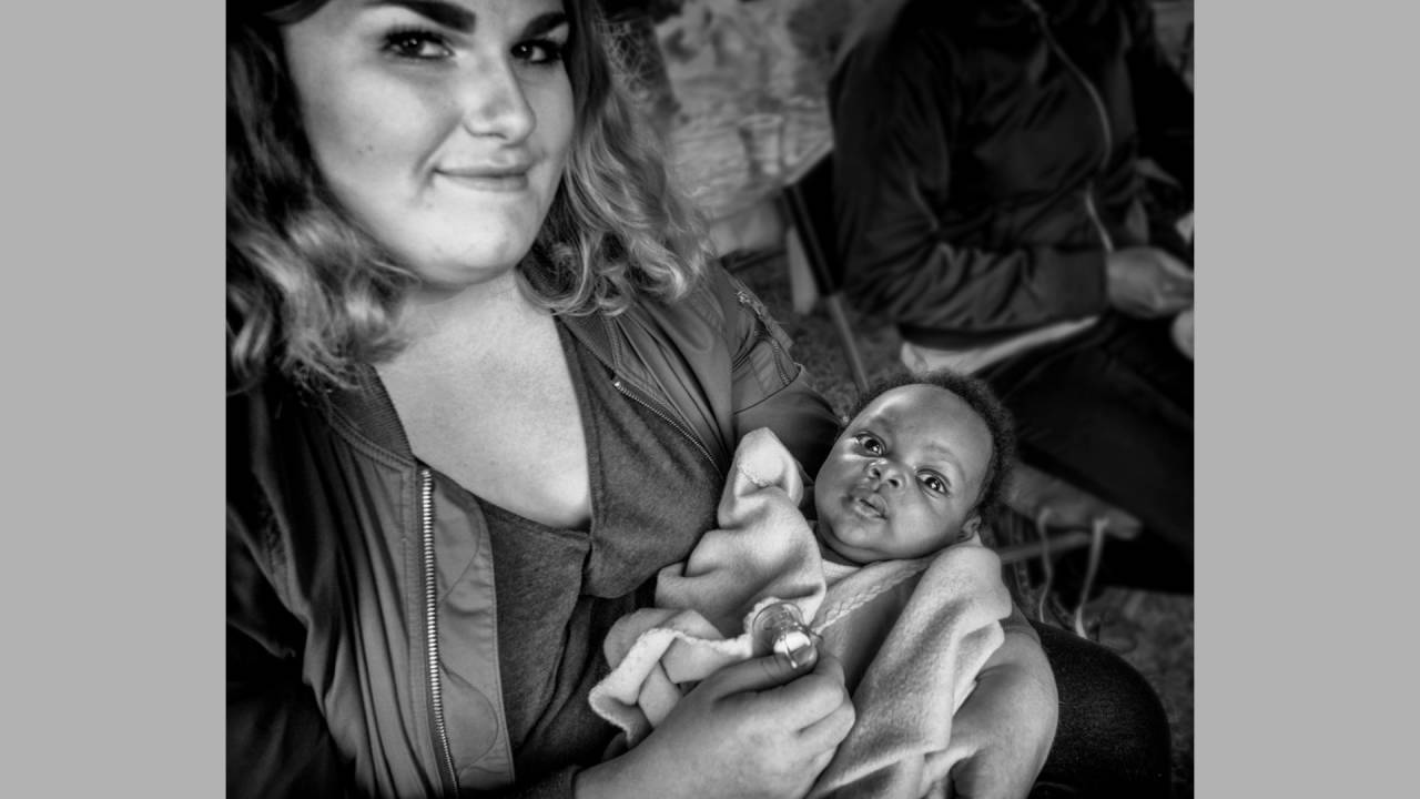 fotokonst i en trädgård