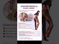 SciaticNervePain#EndometriosisAwareness#SciaticEndometriosis#EndometriosisPain#ChronicPain#shorts