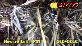 2015 Oat Hay for Sale - 3x3x8 Squares - Howard Lake, MN