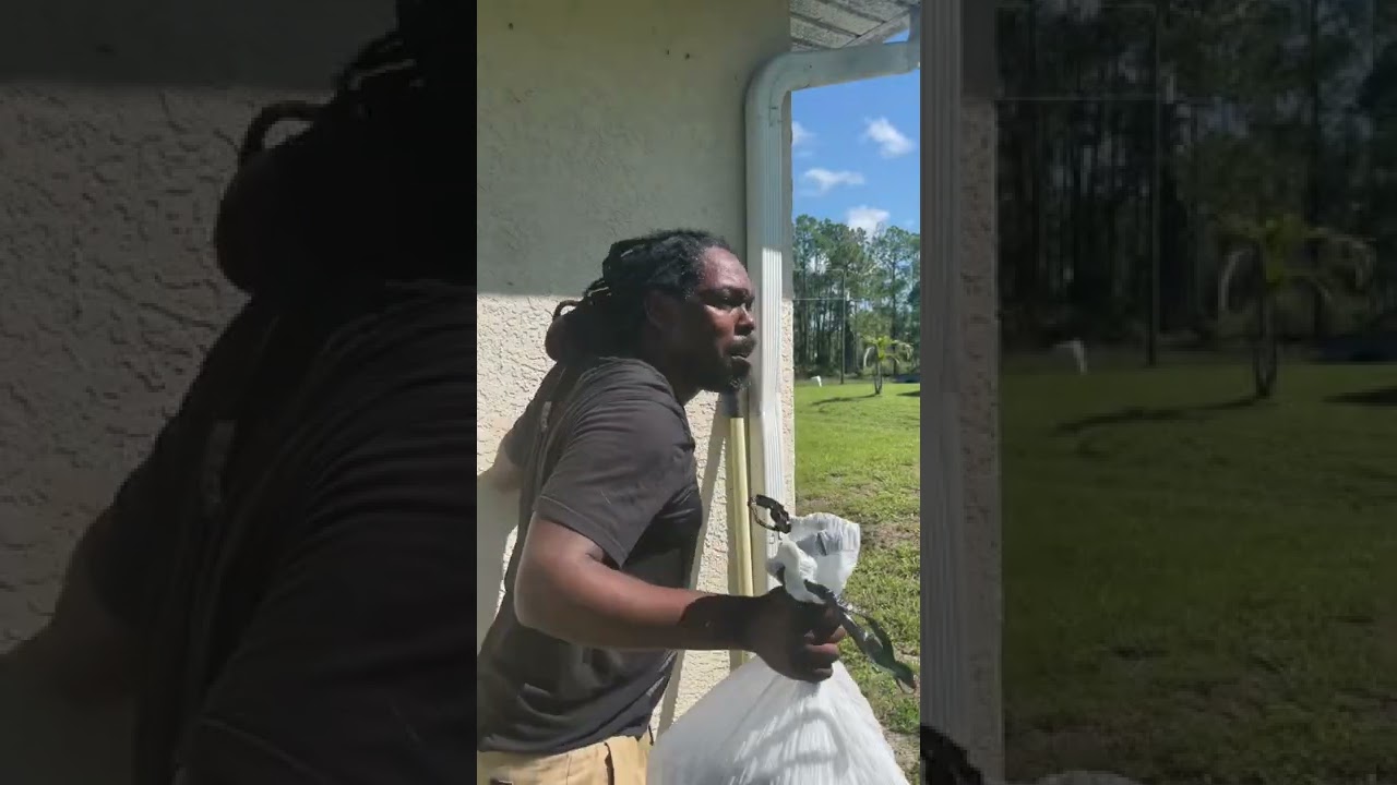 Why Florida has a Problem with Trash