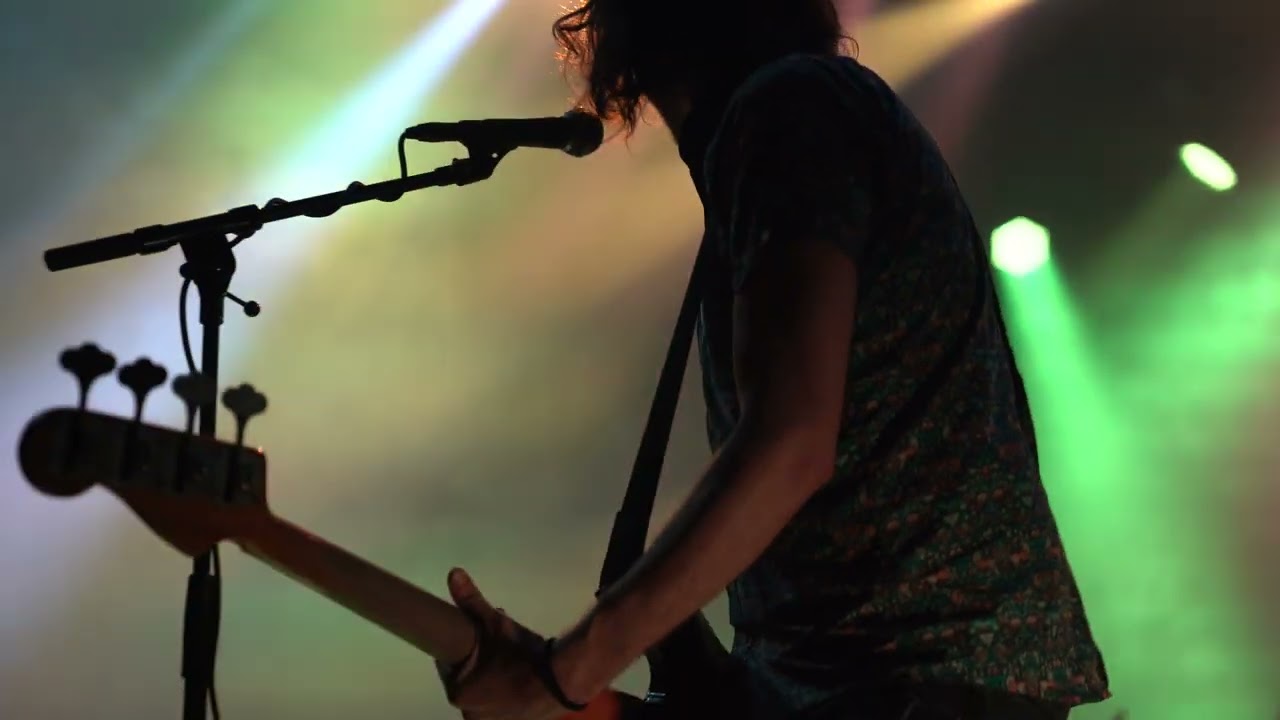 Los Fastidios au Recluses Fest