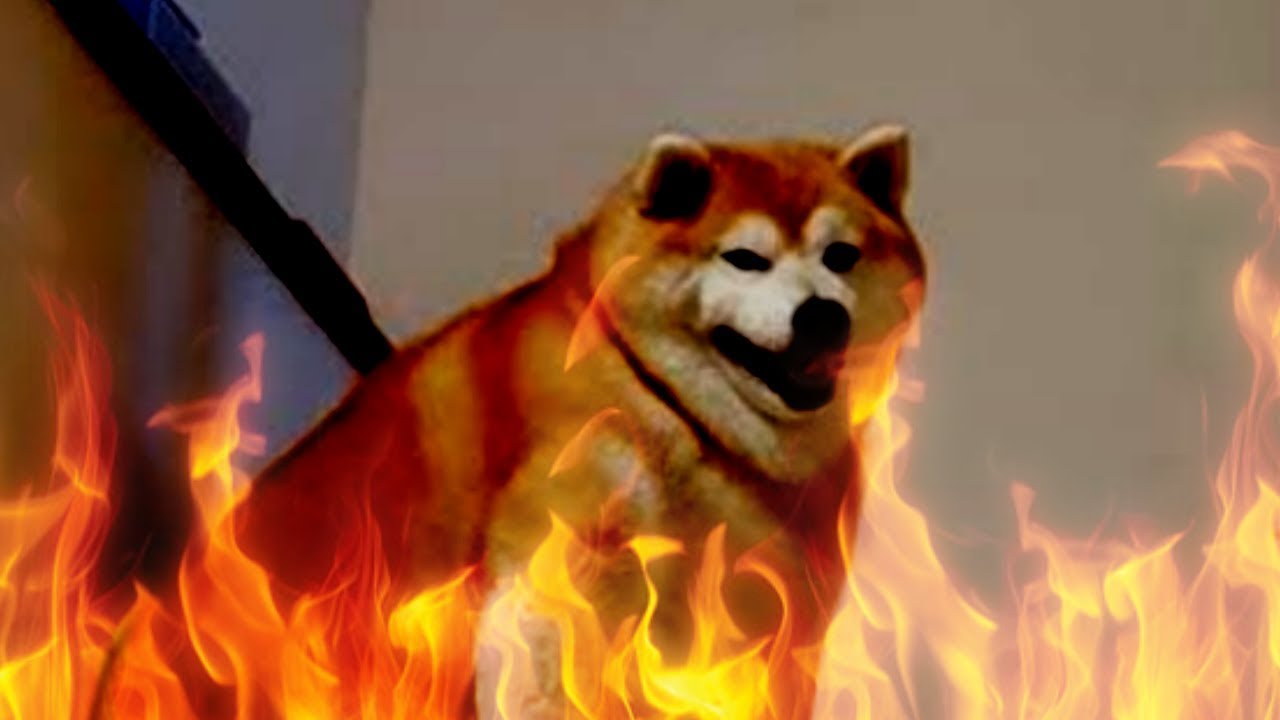 HEFTY CHONK (WARNING: THICC) - YouTube