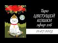 216. Таро Цветущей кошки (Blooming cat Tarot). Обсуждение, гадание.