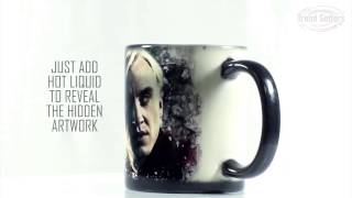 World of Harry Potter (Draco) Morphing Mugs Heat-Sensitive Mug