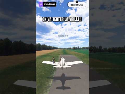 Flight simulator 2024 #flightsimulator #bug #simulation #twitchfr #shorts #jeuxvidéo
