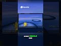 Earn BIG Money with These Encounters! | PokeMMO