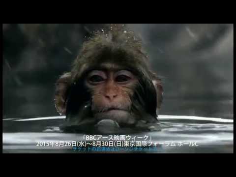 この夏、圧倒的映像で地球を体感!「BBCアース映画ウィーク」