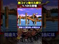 【鬼畜縛り】1-1から暗雲が立ち込めるドンキー #shorts #スーパードンキーコング3 #ゲーム実況