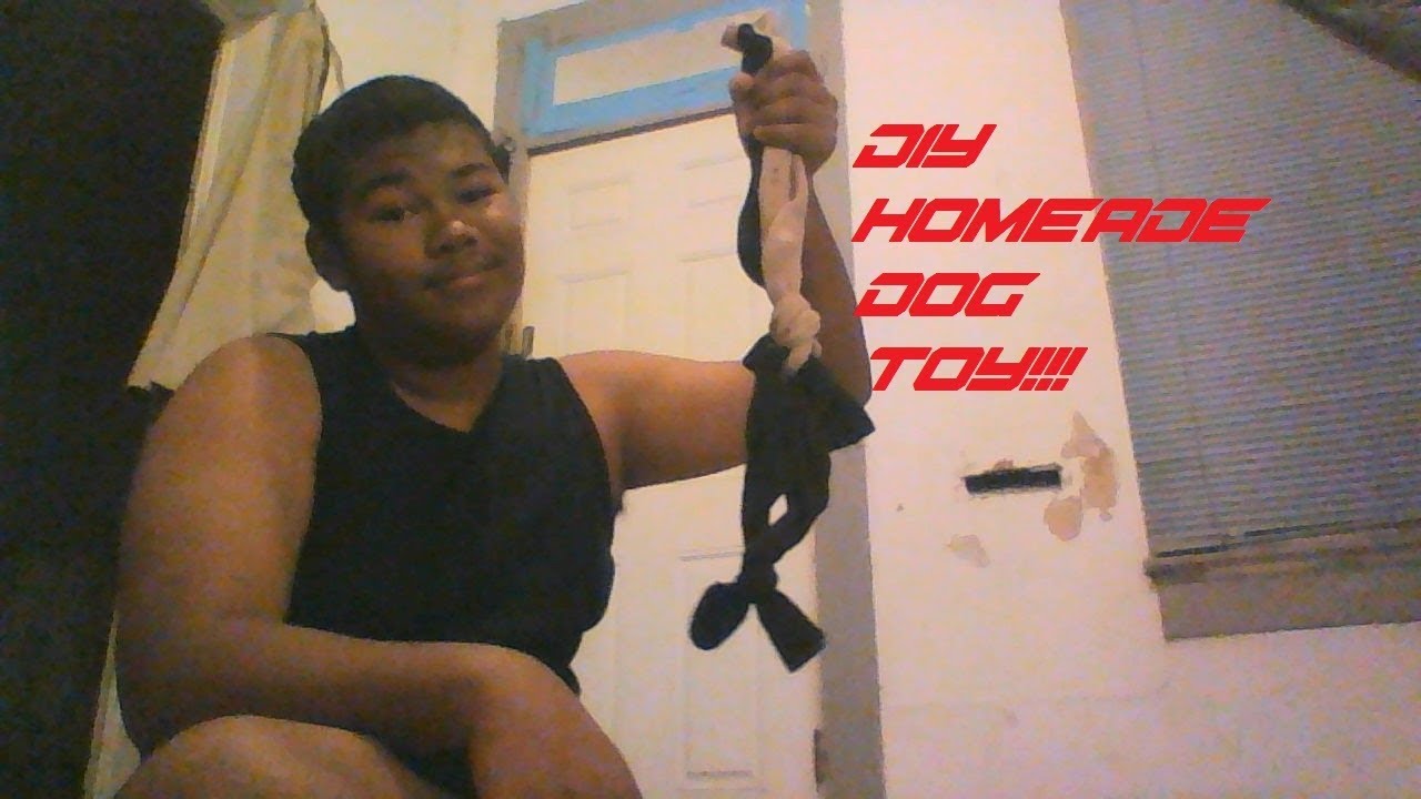DIY HOMEMADE DOG TOY!!! YouTube