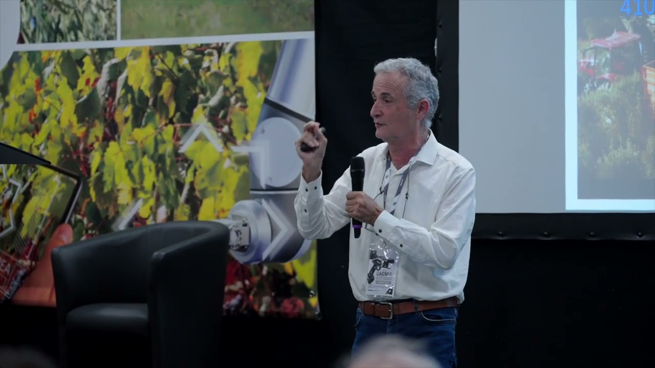 La production de l'olivier en haie fruitière : schéma de plantation, variétés et conduite