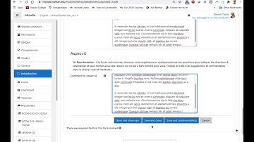 Moodle Workshop Activity