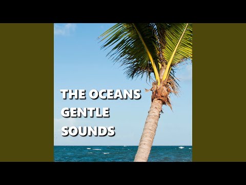 Free Spirited Bayside Beach Sounds