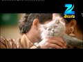 Violin Full Song | Iddarammayilatho | Devi Sri Prasad | David Simon, Anitha