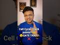 🔥 Cell Cycle Checkpoints ❌ | GATE Favourite Trap 😨
