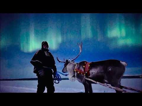 MAN AND BEAST - Part 64 - Great Animal Compilations
