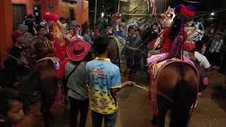 Kuda renggong mekar budi saluyu di cihanyir 16/06/2019 #1