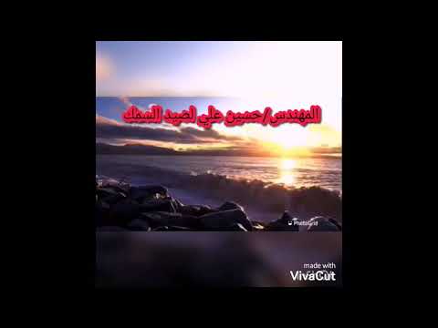 فيديو ترفيهيه صيد دنيس العجمى هنوفيل الاسكندريه