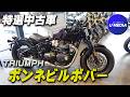 【トライアンフ ボンネビルボバー】2024年モデル限定車「パープル ステルス・エディション」をご紹介いたします！トライアンフ茅ケ崎｜ユーメディアTV
