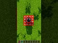 What's Inside the TNT? 🤔#shorts #minecraftshorts #memes