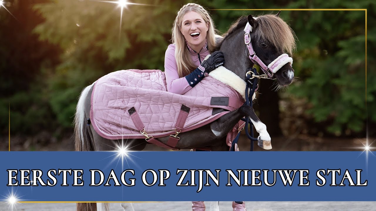 HOE HEET HET NIEUWE MINIPAARDJE? | PaardenpraatTV