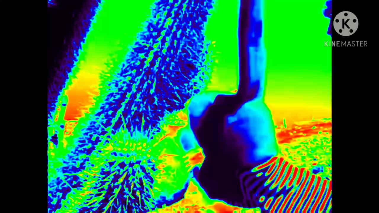 Puppet touches cactus