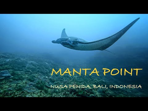 Scuba Diving Nusa Penida, Bali, Indonesia (Manta Point)
