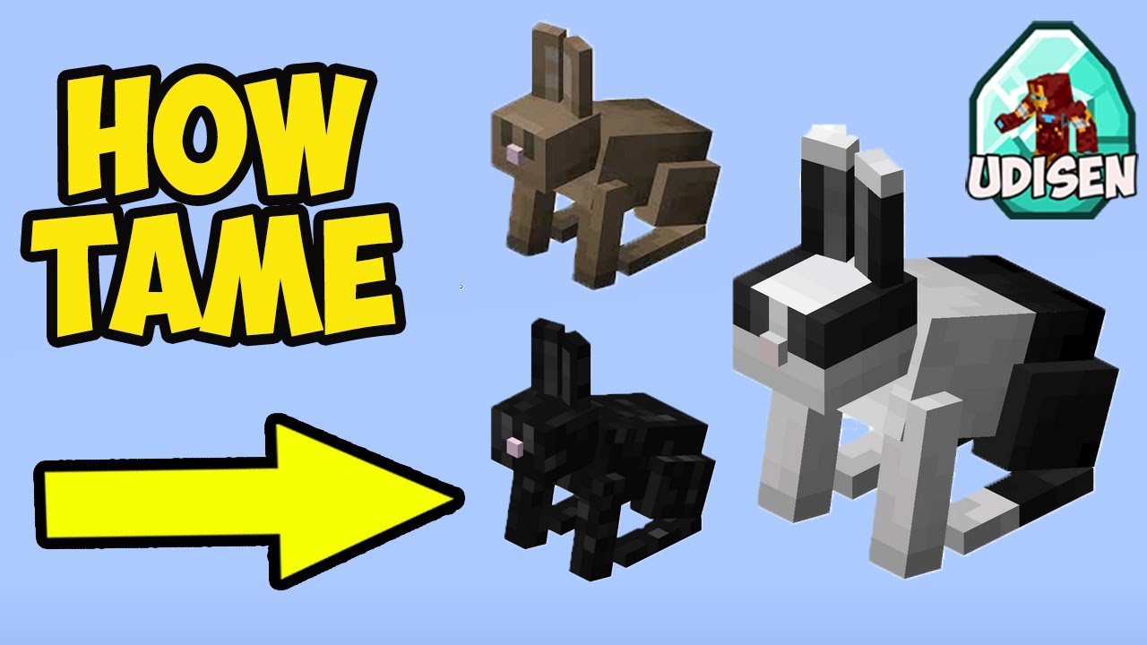 MINECRAFT How to Tame an RABBIT (2026) (Full Guide) YouTube