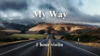 Frank Sinatra - My Way - Violin Cover from ViOLiNiA Zhanna Stelmakh