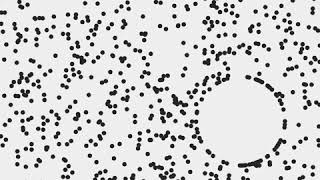 Dot and circle. draw by openframeworks