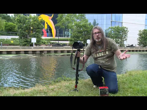CVP.tv - Manfrotto MVM250A Monopod