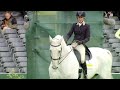 Scenes from Badminton Dressage day 1 montage