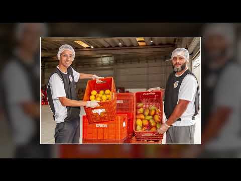 Combate ao Desperdício de Alimentos: A Iniciativa da Associação Prato Cheio