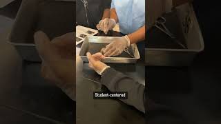 Student-Centered Learning Perks