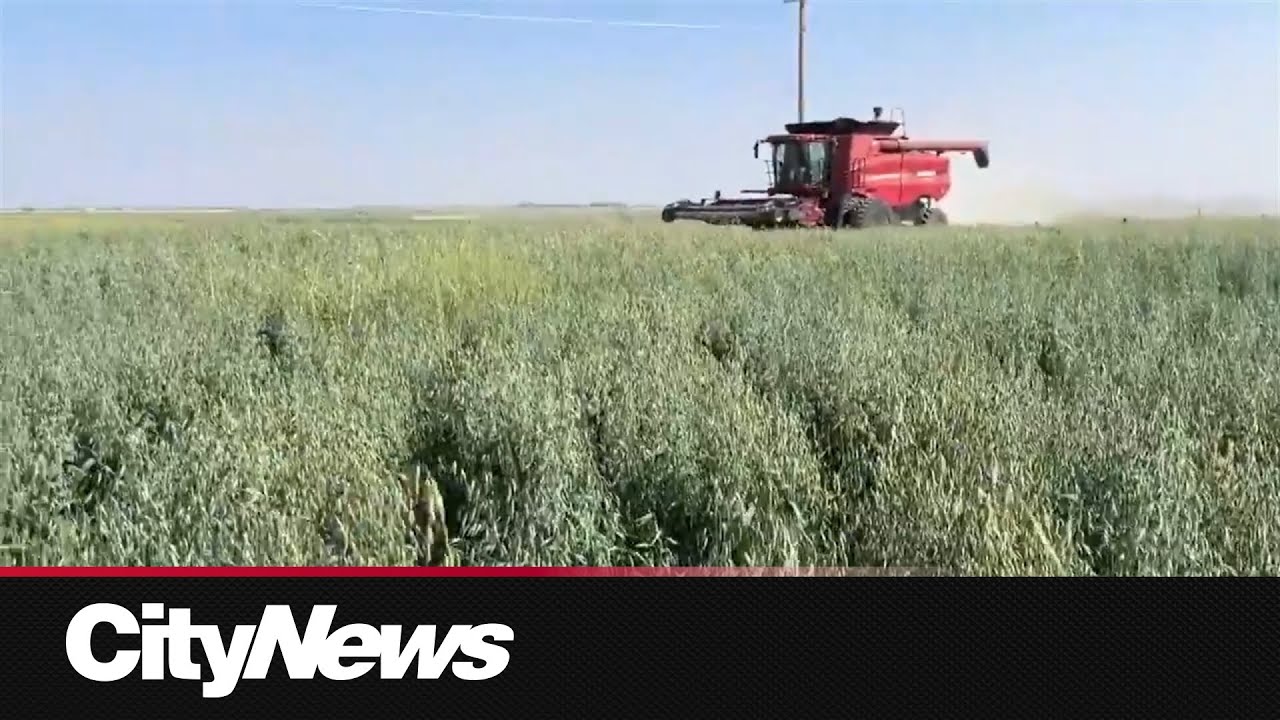 David vs. Goliath: Balzac farmers take on industry for prime agricultural land