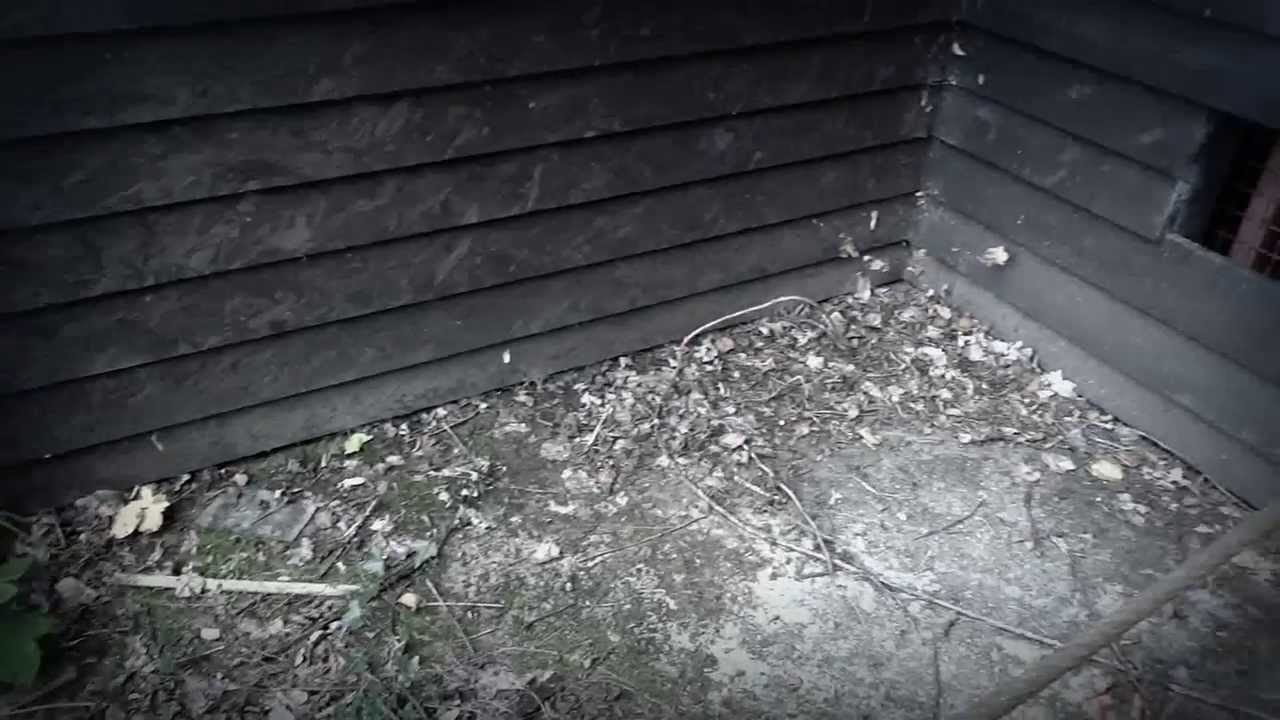 Historic Boat Yard with Dry Dock. - Isle Of Wight